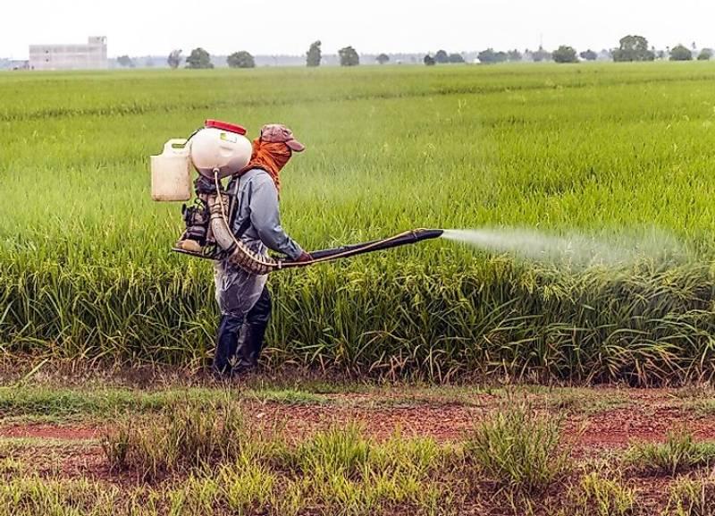 الحكومة توضح حقيقة تداول مبيدات زراعية محظورة تتسبب في تسمم المحاصيل
