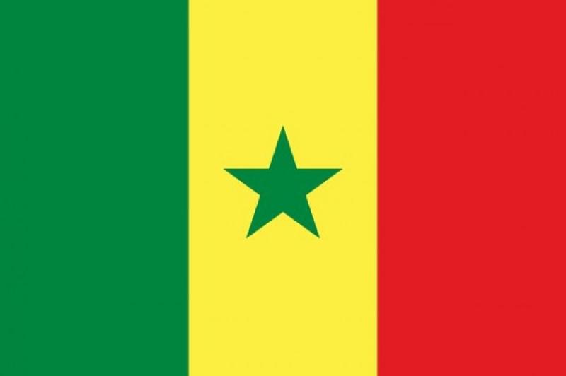 سفارة السنغال تقيم صالونها الأول لاستقبال رجال الاعمال المصريين