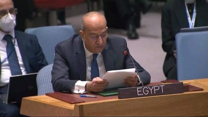 مندوب مصر في الامم المتحدة