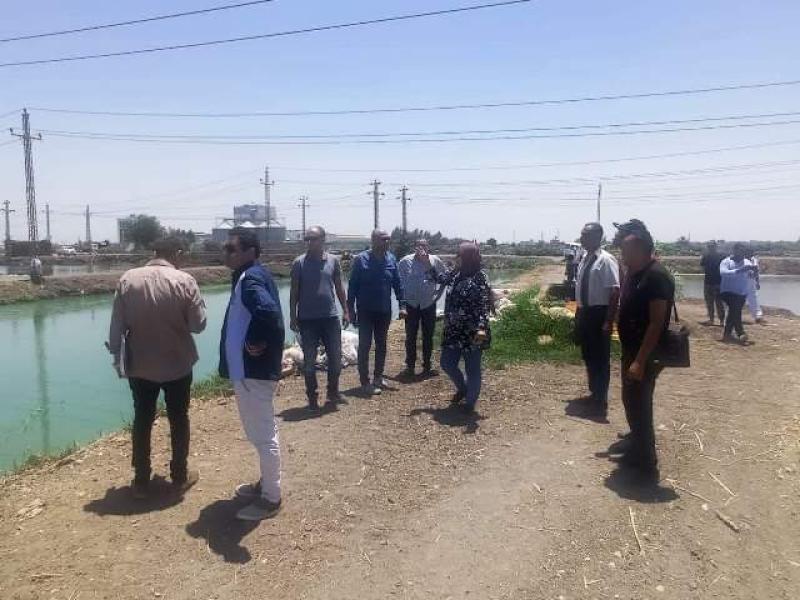 محافظ الشرقية: إزالة ٣٥ مزرعة سمكية مخالفة بناحية العباسية في مركز أبو حماد