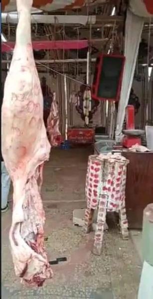 الزقازيق: إزالة شادر بيع اللحوم والدواجن أسفل كوبري شرويده