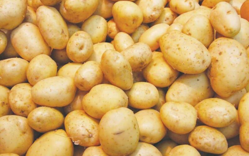التصديري للحاصلات الزراعية: حل أزمة شحنات البطاطس المحتجزة بالموانئ اللبنانية