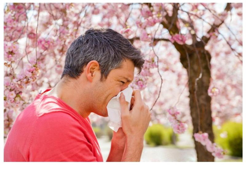 ما هي حساسية الربيع الموسمية وكيفية علاجها في المنزل؟