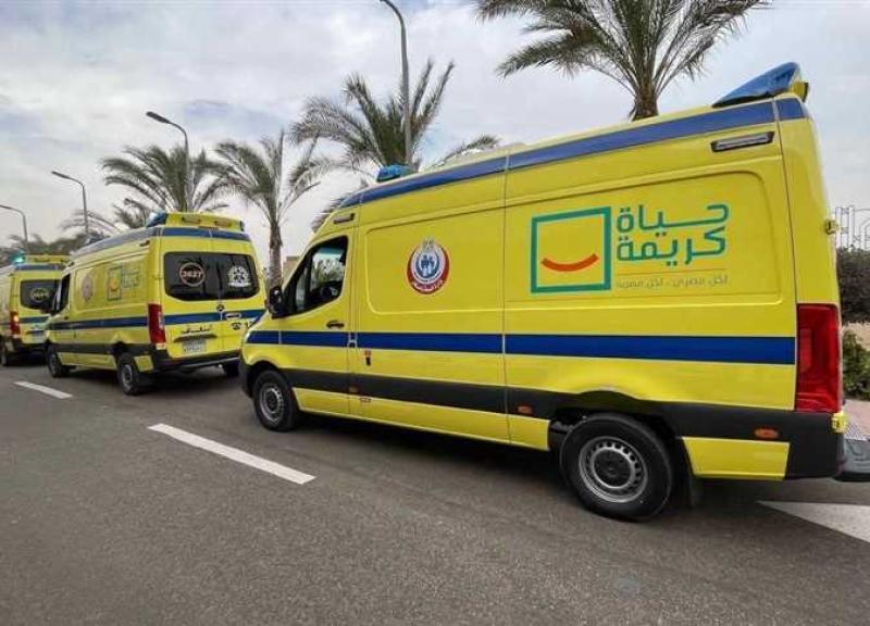 مصرع وإصابة 12 شخصا في تصادم ميكروباص وسيارة نقل بطريق الإسماعيلية القاهرة الصحراوي