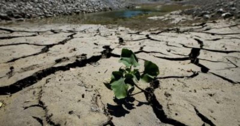 صورة لجفاف الاراضي الزراعية في جنوب ايطاليا