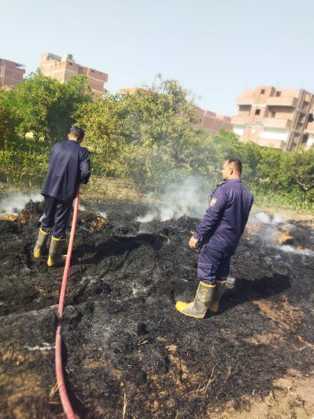 الحماية المدنية تخمد حريقا في محصول قمح بالمنوفية