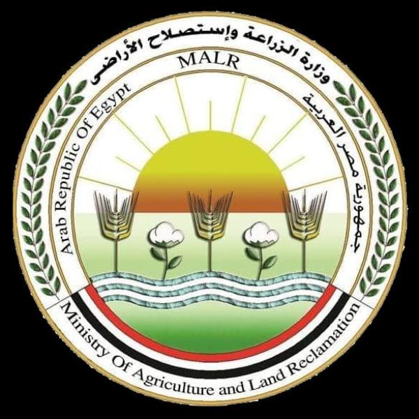 الزراعة: المركزية لمكافحة الآفات تتابع محصولى البلح والزيتون في محافظة مطروح