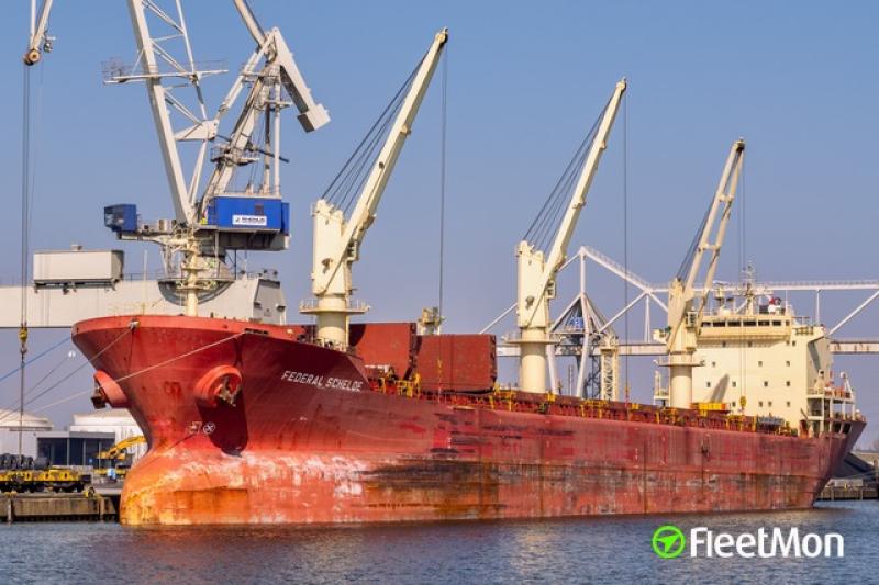 تصدير 38.5 ألف طن من خام الكلينكر إلى جمهورية الدومينيكان عبر ميناء شرق بورسعيد