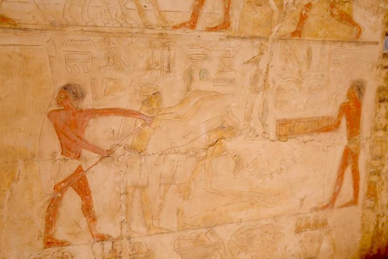 مصر الحضارة والتاريخ.. شاهد بالصور أجمل التحف الاثريه عن الكشف الجديد بمنطقة اثار سقارة