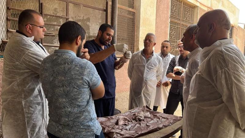 ”التناسليات الحيوانية” ينظم دورة تدريبية بالتعاون مع  المنظمة العربية لتنمية مهارات الأطباء البيطريين