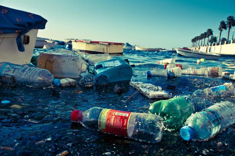 دحر التلوث البلاستيكي.. مصر تحاول استبدال البلاستيك بقشر الجمبري