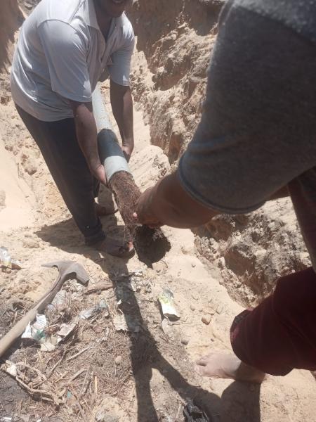 رئيس مياه القناة: استخراج جذور الأشجار من شبكات قرية النصر