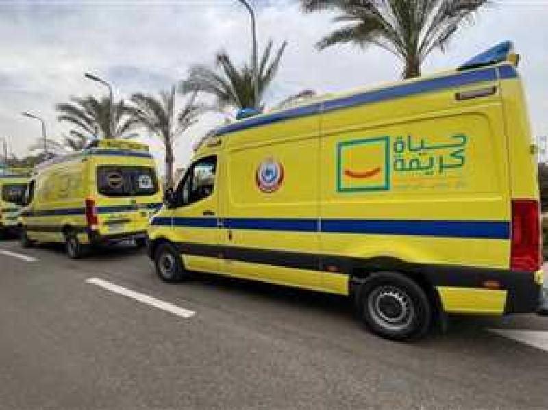 إصابة طبيبة في حادث تصادم بطريق الشرفا بمركز المنيا