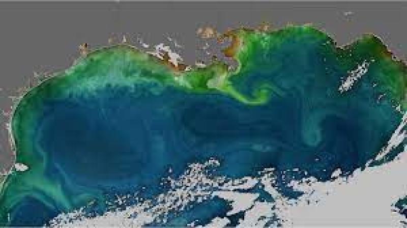 علماء يُرجّحون أن يكون التغيّر المناخي سببًا في تبدّل لون المحيطات