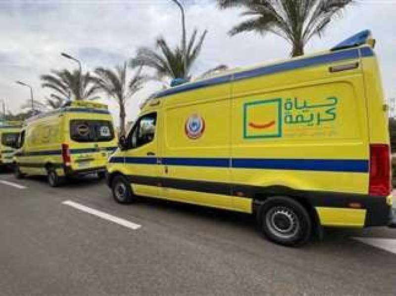 مصرع طبيبة وإصابة 11 شخصًا إثر انقلاب مكروباص على «صحراوي المنيا»