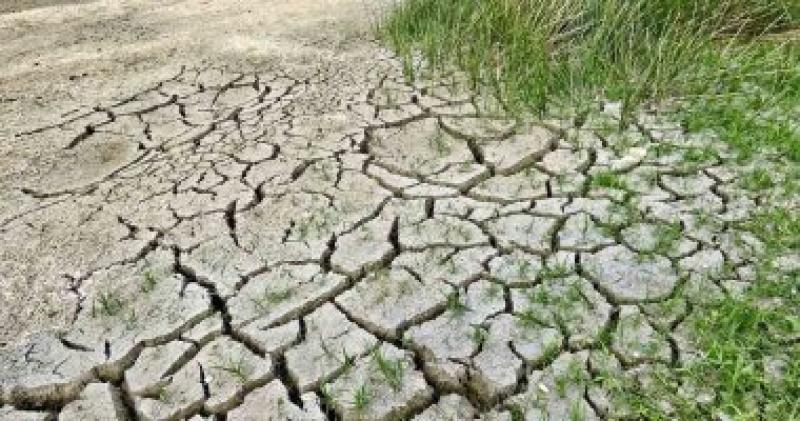 صورة لموجة الجفاف والحر الشديديين في اوربا