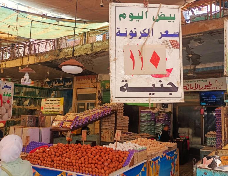 مبادرة لبيع البيض بأسعار مخفضة في سوق المنشية بالإسكندرية