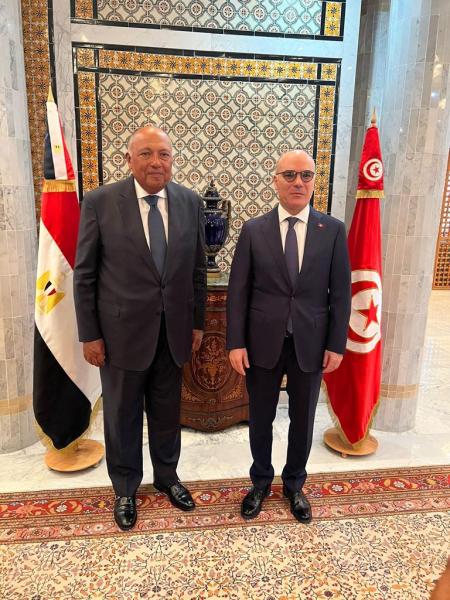 وزير الخارجية يعقد جولة مشاورات سياسية مع نظيره التونسي