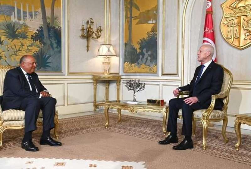 وزير الخارجية ينقل رسالة من الرئيس السيسي إلى الرئيس قيس سعيد