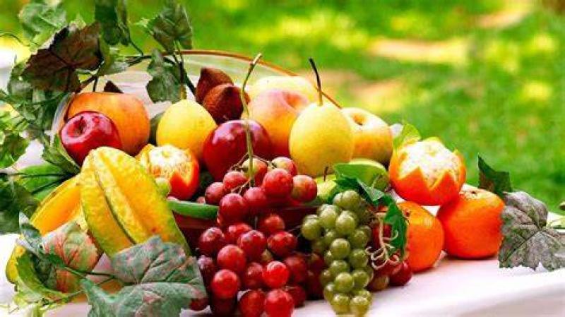 في الموسم الصيفي.. روشتة طبية لتناول الفاكهة بطريقة صحية