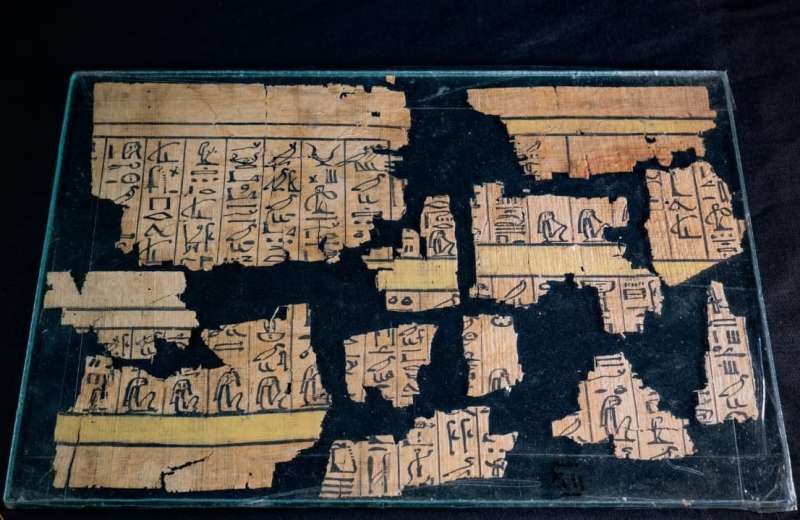 متحف الأقصر للفن المصري القديم  يحتفل بذكرى يوم وفاء النيل