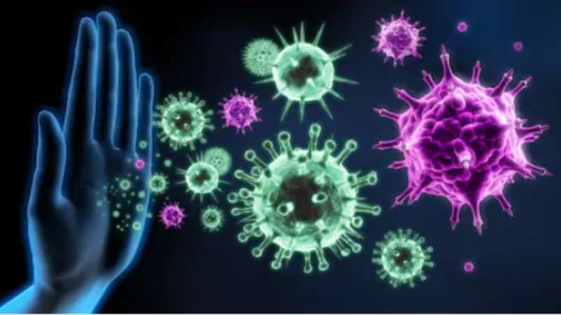 روشتة طبية مقدمة من هاني الناظر للحماية من فيروس كورونا