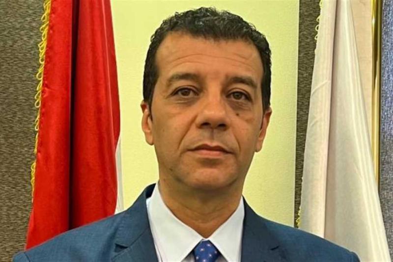 المستشار وليد حمزة- رئيس الهيئة الوطنية للانتخابات