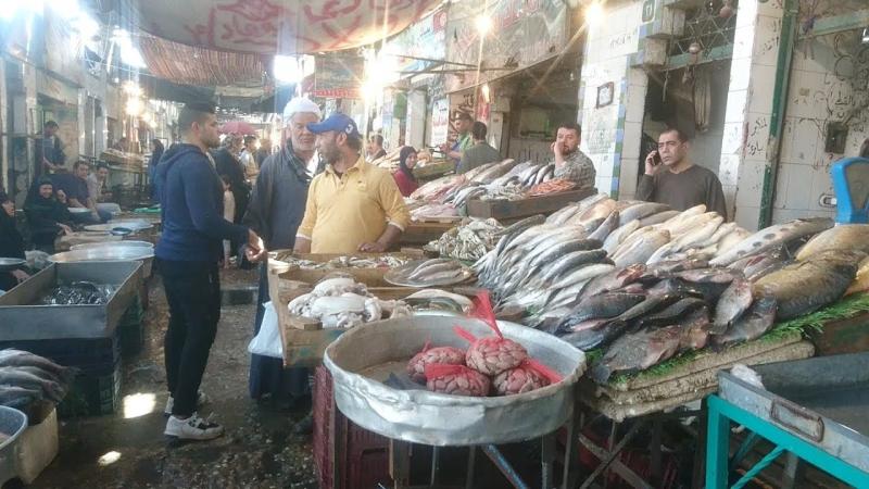 بعد اللحمة والفراخ.. سوق السمك في حالة غليان
