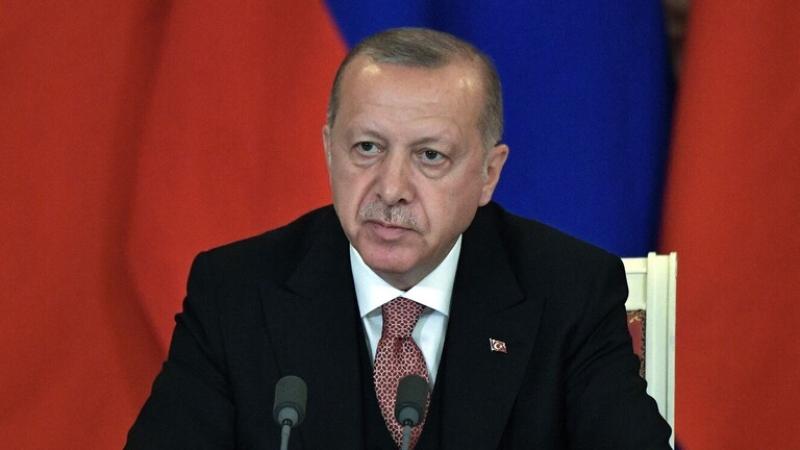 أردوغان: العشائر العربية هي أصحاب الأرض الأصليين وتنظيم حزب العمال الكردستاني مجرد إرهابيين