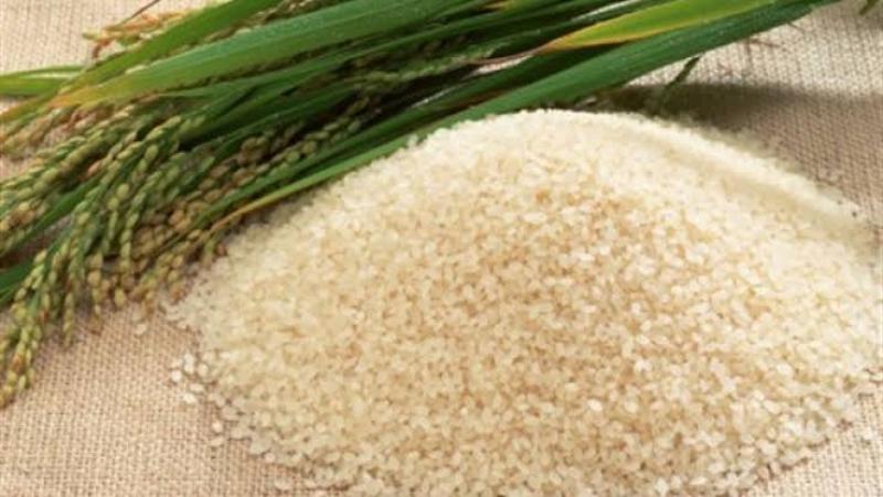 «الزراعة» تنظم يوم حصاد موسعا لمحصول الأرز بالدقهلية