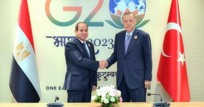 الزعيمان السيسي واردوغان