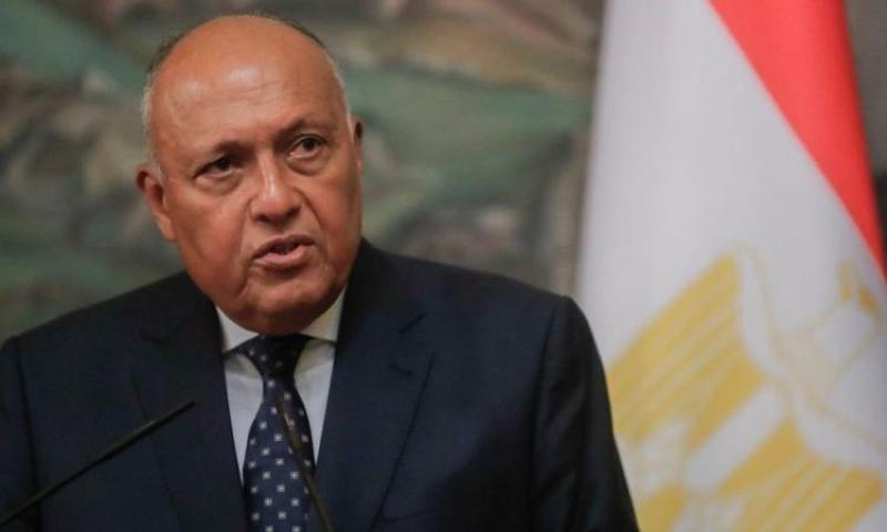 الدبلوماسية المصرية رائدة المواقف الإنسانية  ومركز صياغة القرارات العروبية