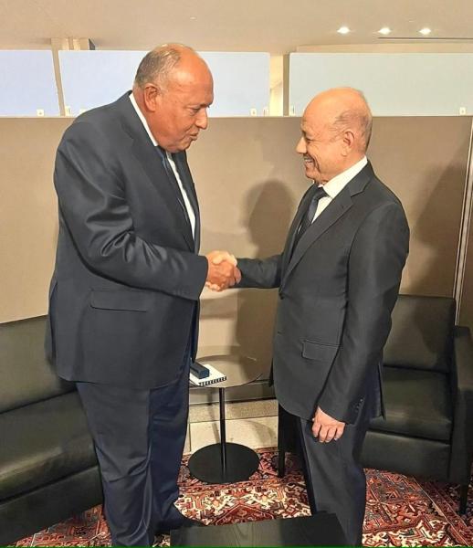 وزير الخارجية يلتقي مع فخامة رئيس مجلس القيادة الرئاسي اليمني