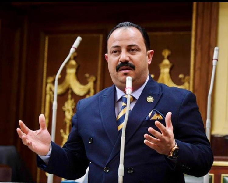برلماني: الرئيس السيسي يسعى لوصول الصادرات المصرية إلى 100 مليار دولار سنويا