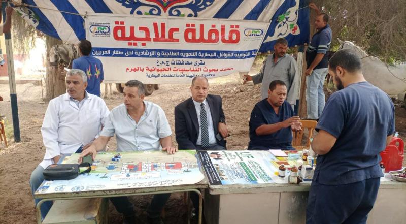 فحص وعلاج 803 رؤوس ماشية خلال قافلة بيطرية بكفر الشيخ