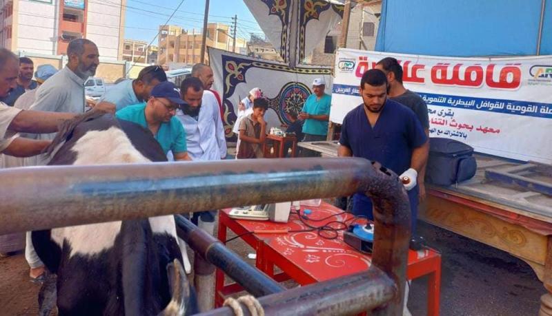 تقديم الخدمات البيطرية لـ 5195 حالة خلال قافلة «حياة كريمة» بكفر الشيخ