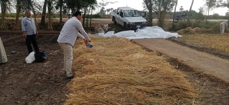 الزراعة :كفر الشيخ تحتل المركز الأول في تجميع قش الأرز بـ 567 ألف طن