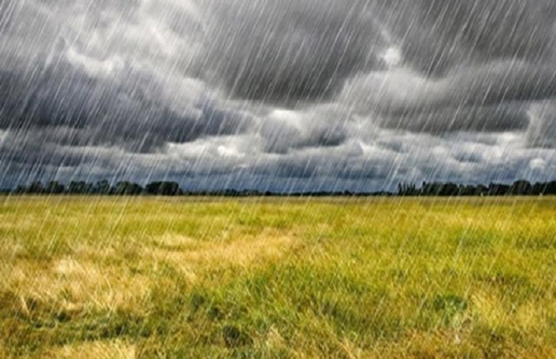 خلال أيام السيول والأمطار..  خطة لحماية المحاصيل والصوب الزراعية