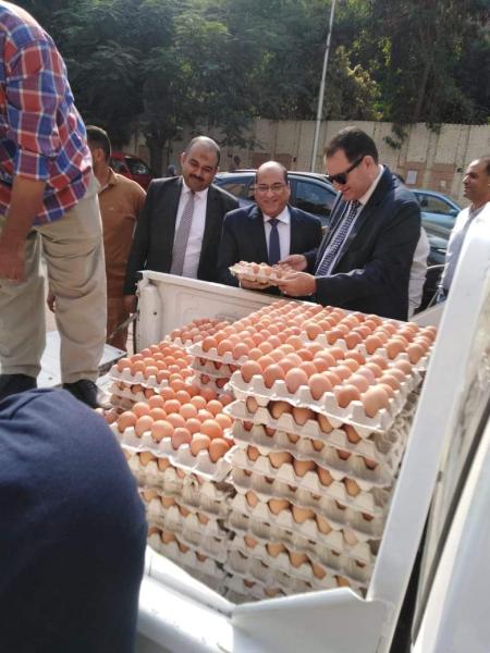 «الزراعه» تواصل دعم مبادره خفض الاسعار.. اطلاق ١٠ منافذ متحركة في ٨ محافظات لبيع بيض المائدة بأسعار مخفضة