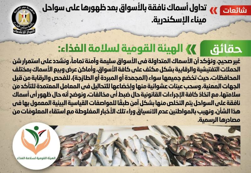 الحكومة تنفي تداول أسماك نافقة بالأسواق بعد ظهورها على سواحل ميناء الإسكندرية