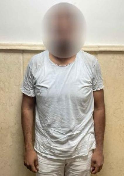 القبض على بطل فيديو القيادة برعونة بالدقهلية
