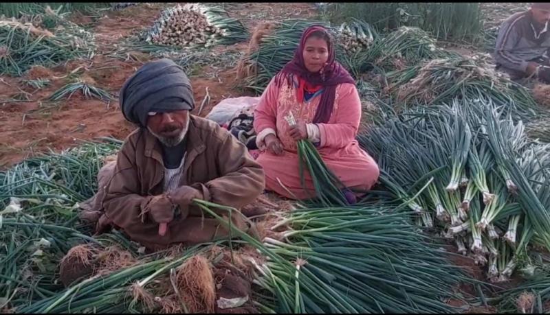 زوج وزوجة من ذوي الهمم يعملوا في الحقول بالأجر اليومي