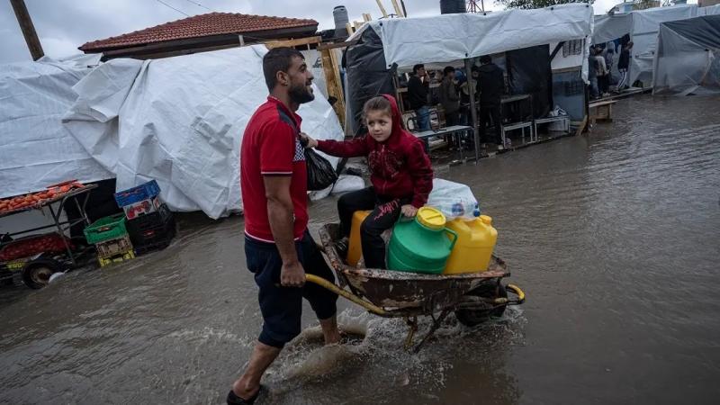 الأمم المتحدة تحذر من خطر المجاعة يحاصر سكان غزة.. بعضهم يعيشون على وجبة واحدة يوميًا