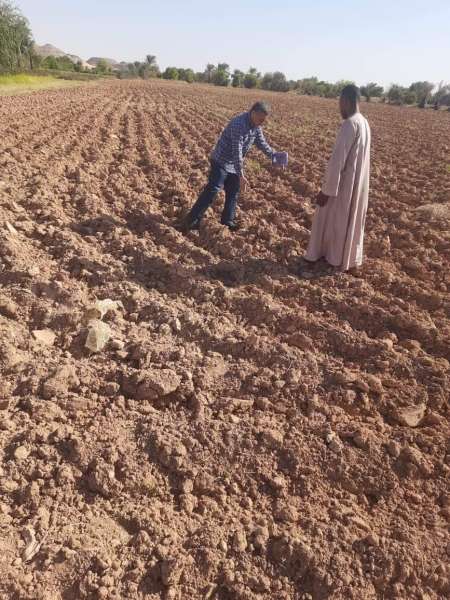 ”بحوث الصحراء” ينظم قوافل إرشادية لمزراعي قرى الخريجين في منطقة توشكى