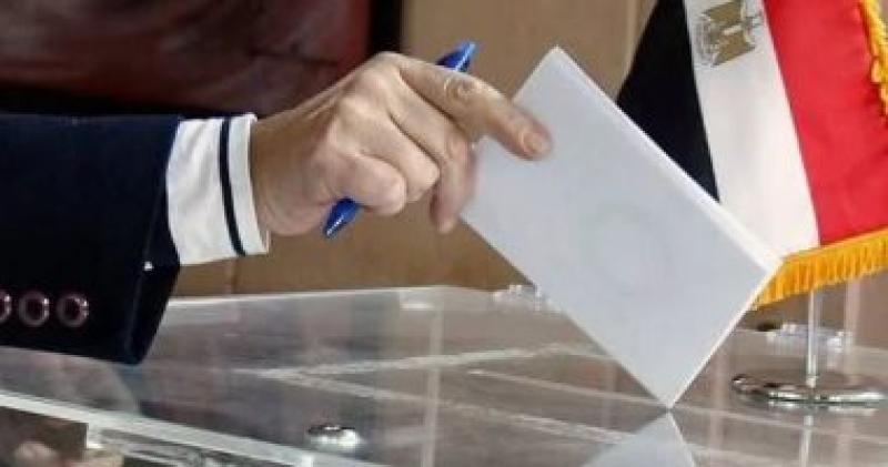صورة تعبيرية لتصويت المصريين في الخارج