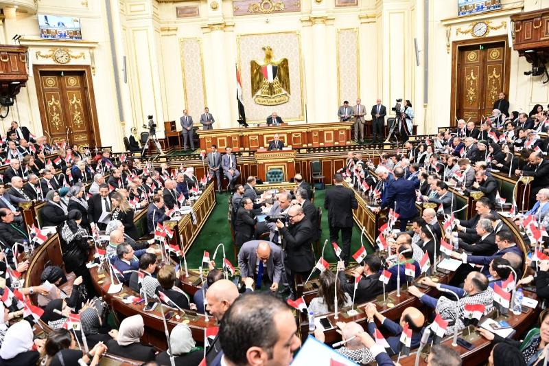 برلمانية: ادعاءات فريق الدفاع الإسرائيلي عن مصر أكاذيب ومحاولة للتهرب من جرائمها