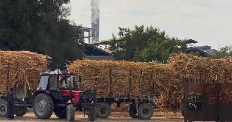 محافظ قنا يحظر نقل محصول قصب السكر خارج المحافظة