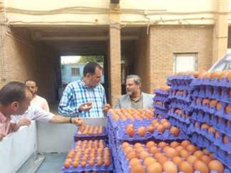 125 جنية سعر كرتونة بيض  بمنافذ وزارة الزراعة بالإسكندرية