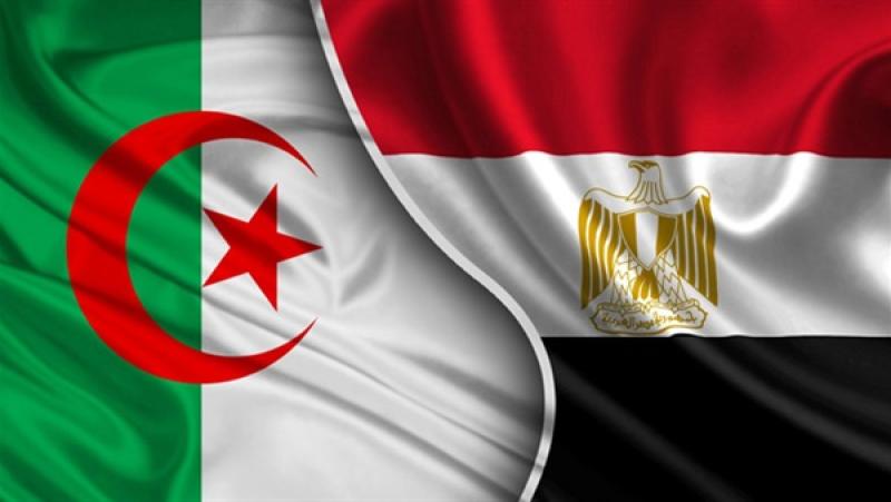 موعد مباراة مصر والجزائر بنهائي كأس الأمم الإفريقية لليد