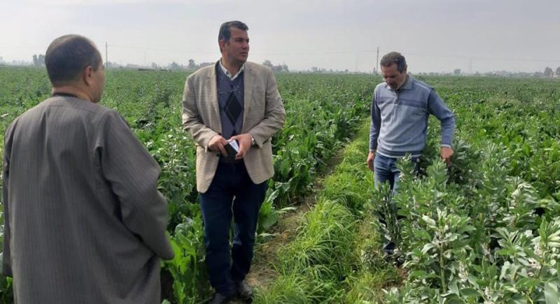 محافظ كفر الشيخ يتابع حملات مكافحة الآفات على الزراعات الشتوية بمطوبس